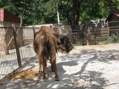 Прикрепленное изображение: IMG_1560.JPG